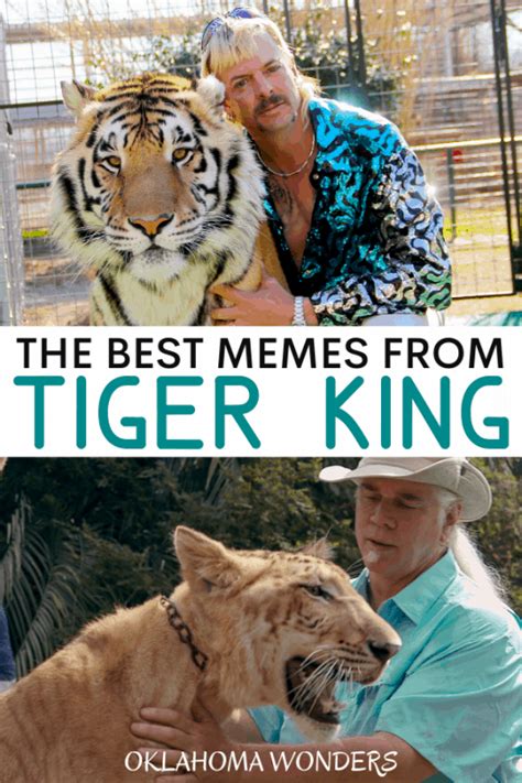 50 Crazy Tiger King Memes We All Need in Our Lives - Oklahoma Wonders