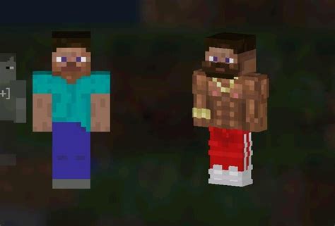 Choose your Steve : r/minecraftskins