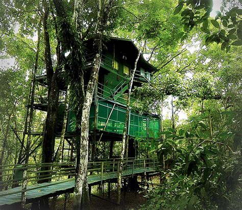 7 Tarzan-Worthy Tree House Hotels :: Travel :: Lists :: hotels :: Paste