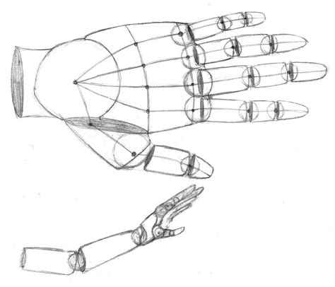 Hand Anatomy Drawing Practice by Age-Solo on DeviantArt