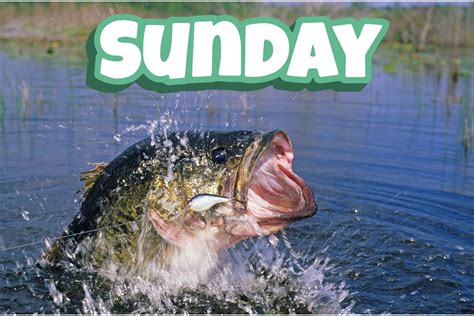 2023 Big Bass Splash on Lake Sam Rayburn - Sunday Standings