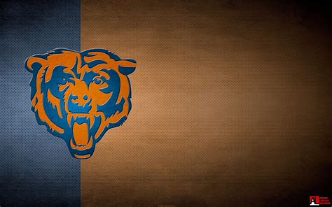 HD wallpaper: chicago bears pack 1080p hd, no people, wall - building ...