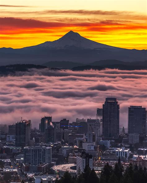 ITAP of Portland Oregon during an amazing sunrise. : r/itookapicture