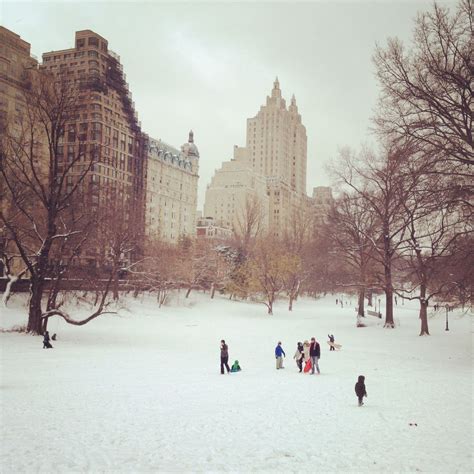 Central Park - looked this way Christmas 2010 | Central park, Park, Snow