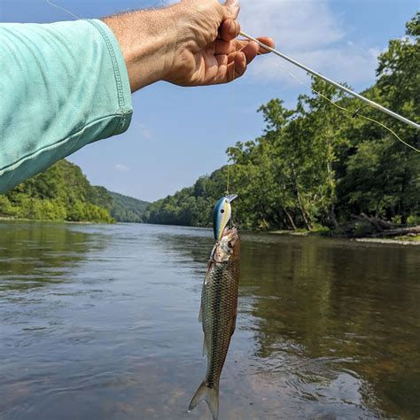 Blue Ridge Fishing Culture | Best Public Fishing Waters in VA