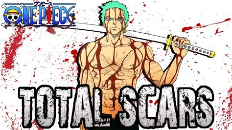 Roronoa Zoro | Total Scars | One Piece - YouTube