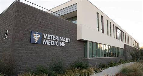 The 20 Best Veterinary Schools In USA For 2024 - College US