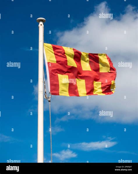 The Flag of Northumberland, Northumberland, England, UK Stock Photo - Alamy