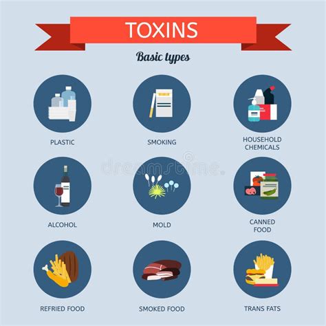 Sources of Toxins in the Body. Types of Toxins Stock Vector ...