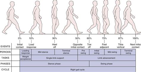 What Is Gait Gait Assessment Factors Affecting Gait | SexiezPix Web Porn