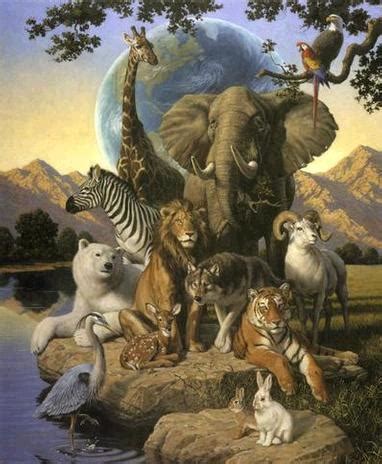 The JW Organization's Views On Animals