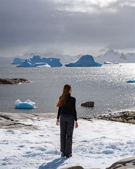 Unforgettable Journeys: Antarctica Cruise Review