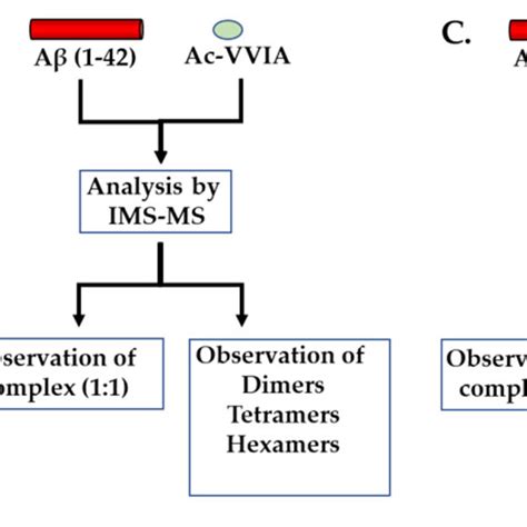 Schematic representation of the ion mobility spectrometry-mass ...