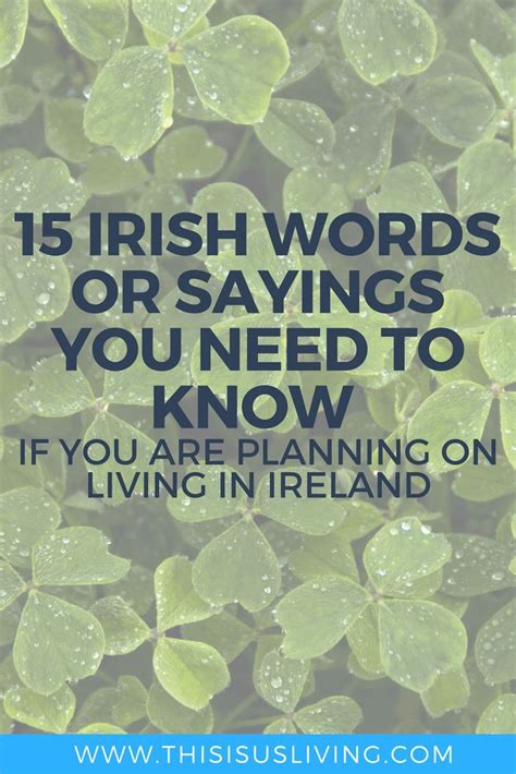 15 Irish words or sayings you need to know - This is Us...Living ...