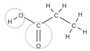 Propionic Acid Production, Uses & Safety | Study.com