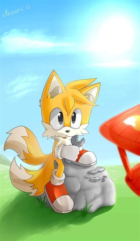 Tails The Fox Meets Sonic The Hedgehog