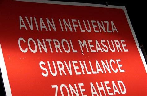 H7N8 detections at more Indiana farms suggest mutation | CIDRAP