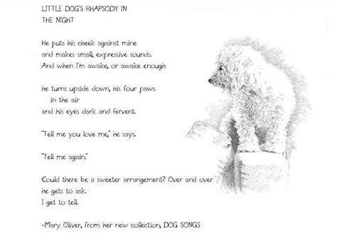 Little Dogs Rhapsody In The Night- Mary Oliver | Mary oliver, Mary ...