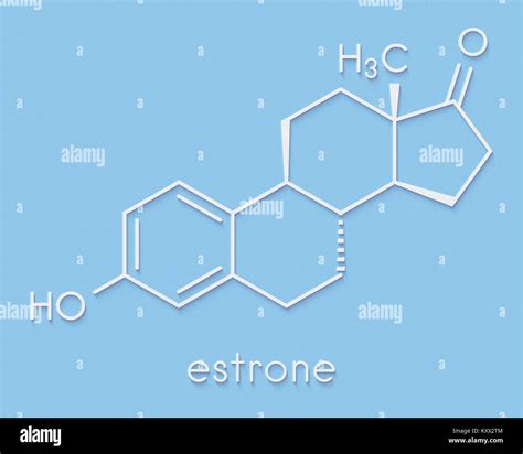 Estrone (oestrone) human estrogen hormone molecule. Skeletal formula ...