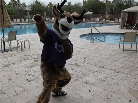 'Thunder' GCU Mascot | Flickr - Photo Sharing!