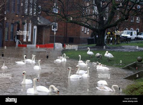 Worcester Flooding 2014 Stock Photo - Alamy