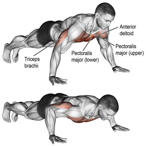 PUSH UPS VARIATION | GUIDE