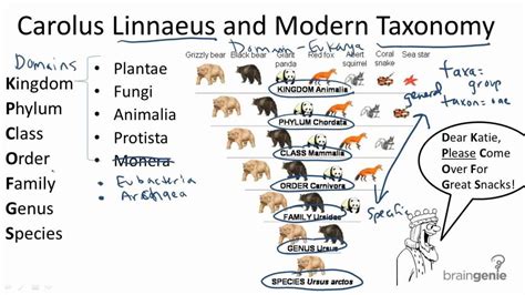 Linnaean System of Classification - Forestrypedia