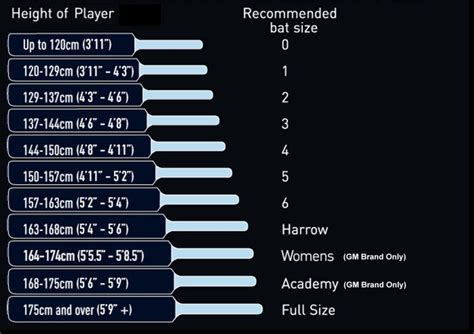 Cricket Bat Size Chart | Cricket Betting India