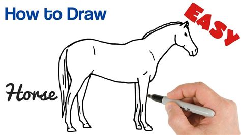 How to Draw a Realistic Horse Step by Step - Vazquez Mourrought