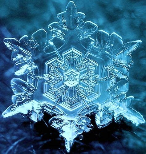 53 Water crystals and intention ideas | masaru emoto, crystals, water