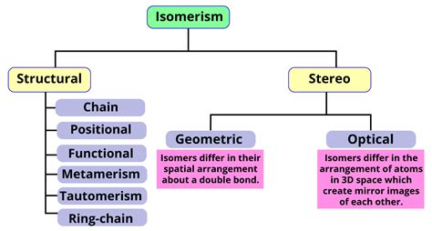 Structural Isomers And Structural Isomerism Definition Types Examples | My XXX Hot Girl