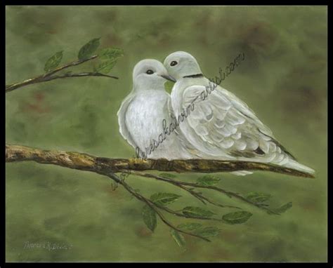 White Dove Painting at PaintingValley.com | Explore collection of White ...