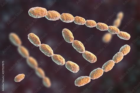 Haemophilus ducreyi bacteria, 3D illustration. Gram-negative coccobacillus, which causes the ...