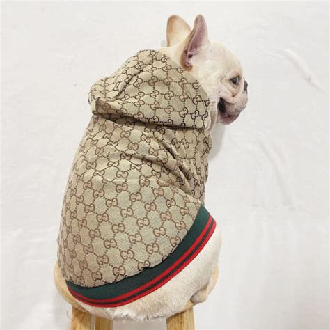 Gucci dog clothes | New gucci jacket ,Luxury designer clothing,w022# | Dogdesignershop