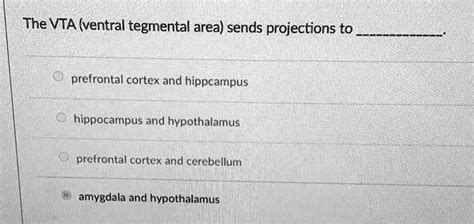 SOLVED: The VTA (ventral tegmental area) sends projections to the ...