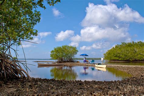 Florida Photography from a Canoe: Winter camping in the Everglades