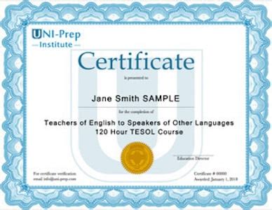 Accredited 120-Hour Online TEFL & TESOL Certification | Go Overseas