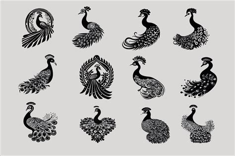 Beautiful Peacock Vector Bundle. Graphic by Anup Ray · Creative Fabrica