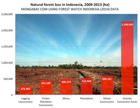 Half of Indonesia's deforestation occurs outside concession areas