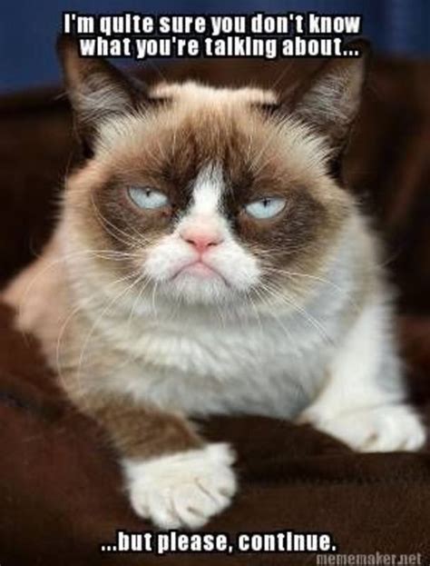 Grumpy Cat - Mean memes | GRUMPY CAT | Pinterest | Grumpy cat, Memes ...