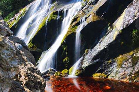 Powerscourt Waterfall in Enniskerry - The Highest and Most Impressive Waterfall in Ireland ...