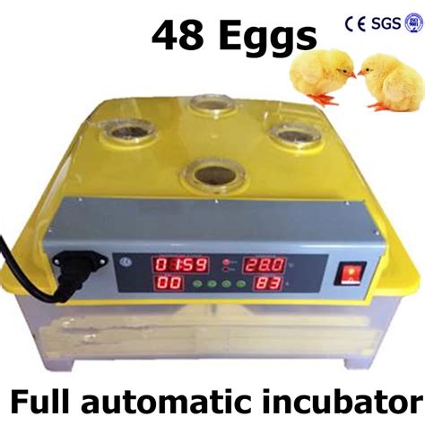 Aliexpress.com : Buy Household chicken eggs incubator small commercial poultry hatchery machine ...