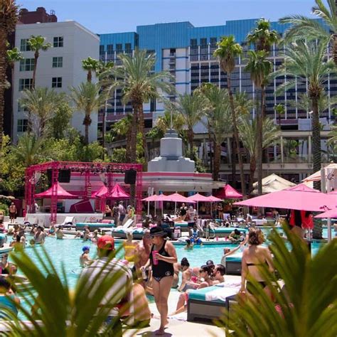 Flamingo Hotel Pool