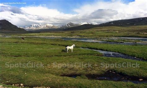 Deosai National Park : r/travelblog