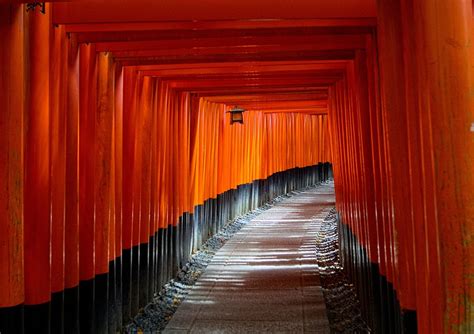 Kyoto Japan Torii Gate - Free photo on Pixabay - Pixabay