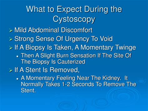 PPT - Cystoscopy Cystoscopy and Stent Removal Cystoscopy and Biopsy ...