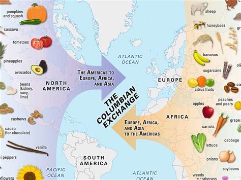 The Columbian Exchange | Teaching Resources