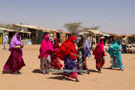 Photos and pictures of: Berbera, Somaliland | The Africa Image Library