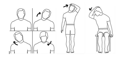 ERGONOMÍA Y USO DE COMPUTADORAS: Ejercicios y estiramientos del cuello