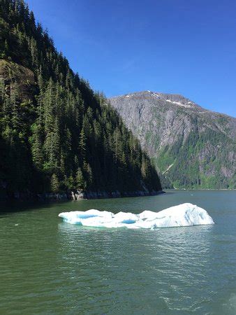 Tracy Arm Fjord (Juneau, AK): What to Know Before You Go - TripAdvisor